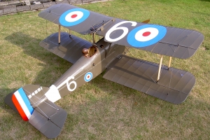 SE5A - Roger Jones