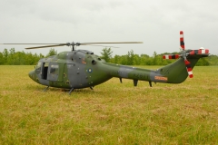 Lynx