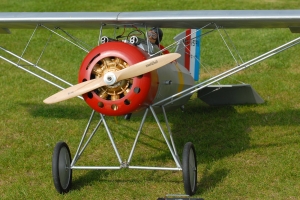 warbirds36